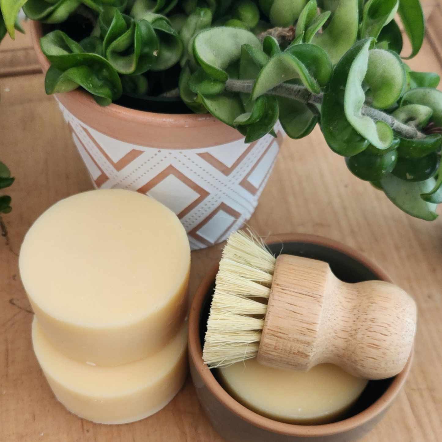 Non-Toxic Solid Dish Soap Refill