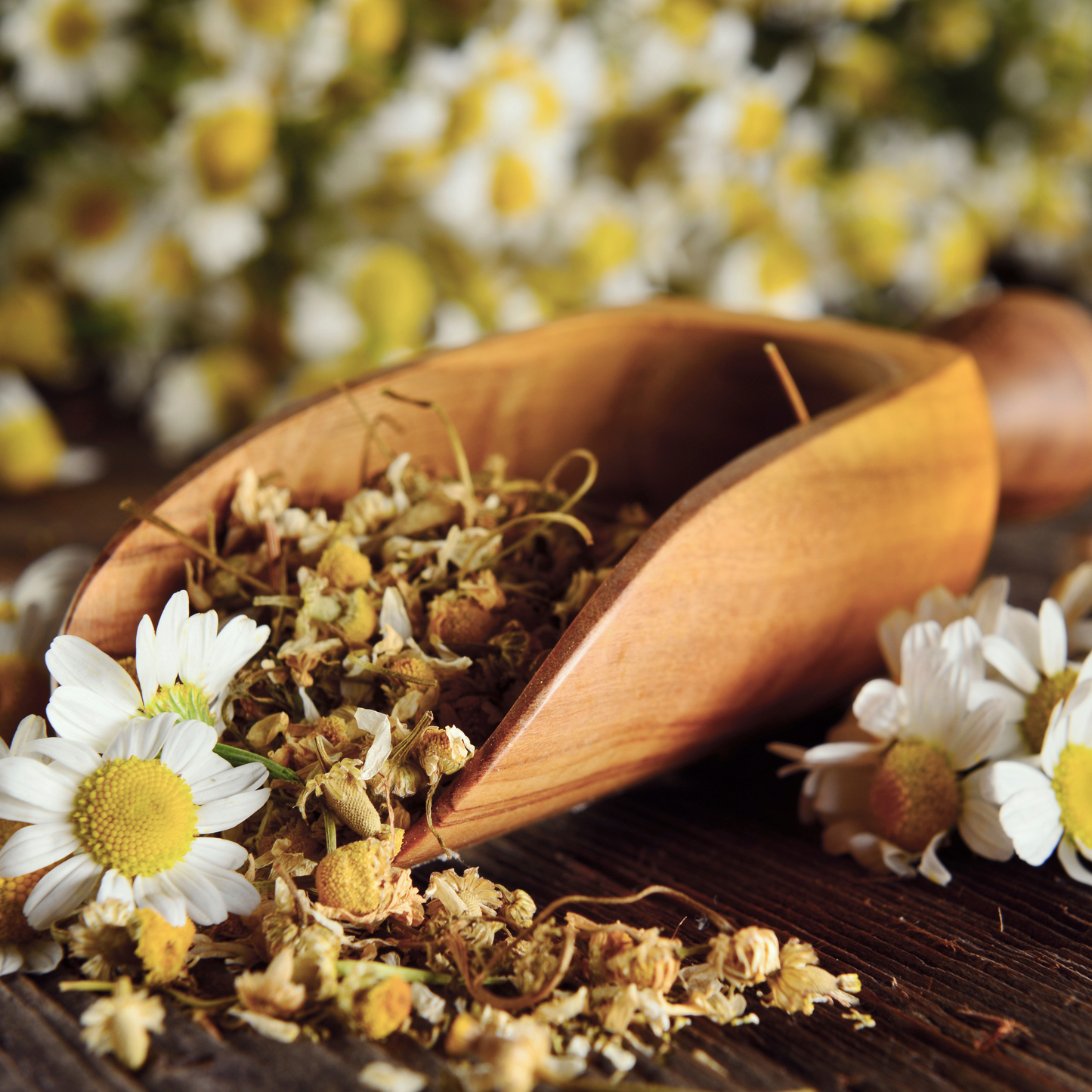 Chamomile & Lemon Balm Tea - 2oz Bag