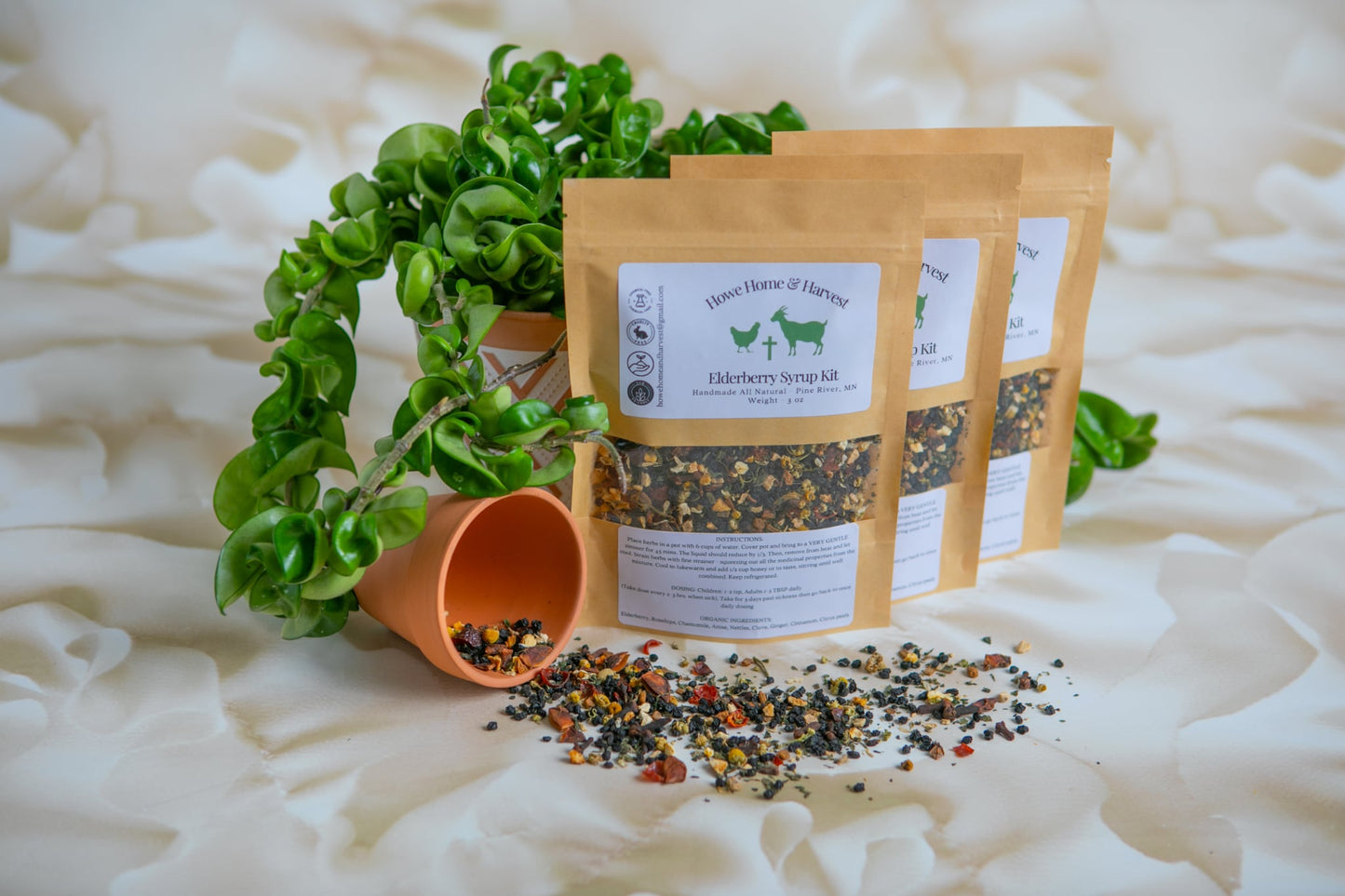 Herbal Elderberry Kit | 3oz
