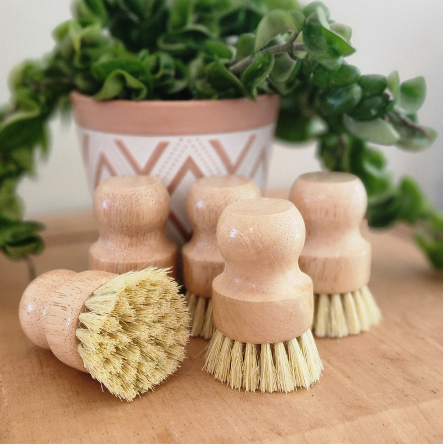 Bamboo Sisal Brush (Plastic Free)