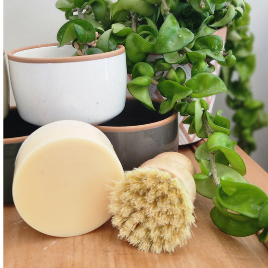 Non-Toxic Dish Soap Bundle